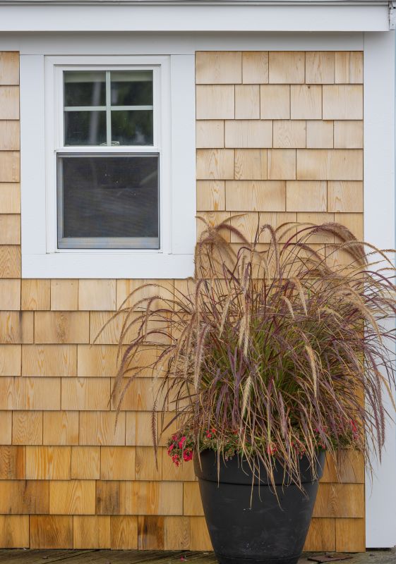 Cedar Siding Washing