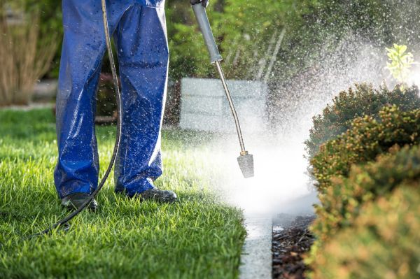 Curb Cleaning in Hendersonville