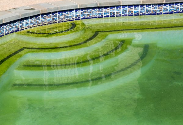 Pool Deck Algae Removal in Hendersonville