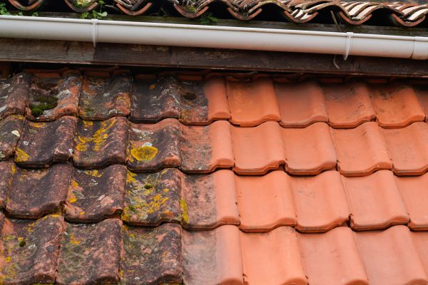 Industrial Roof Cleaning in Hendersonville